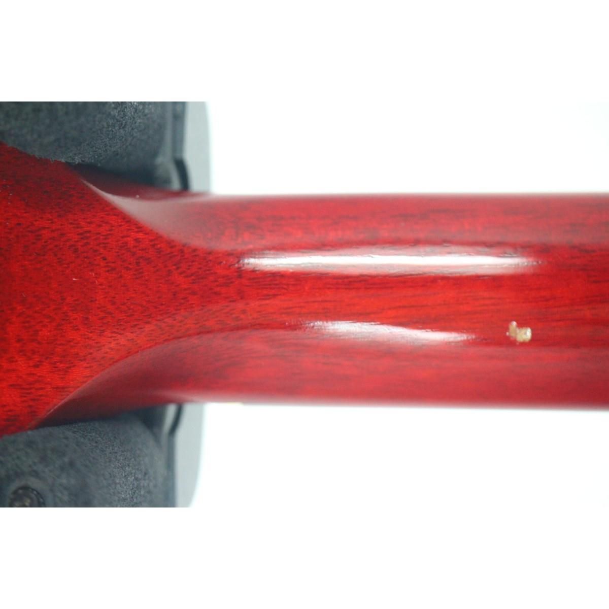 ＧＩＢＳＯＮ ＳＧ ＳＰＥＣＩＡＬ WWW_TRAVELLANDINDIA_COM