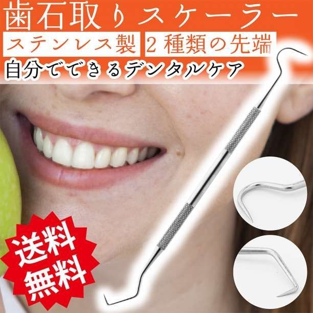 歯垢取り 口腔ミラーの２種類セット