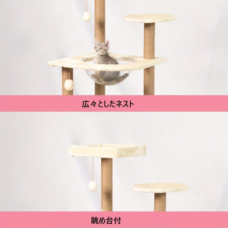 ジャンプ台付き 子猫用