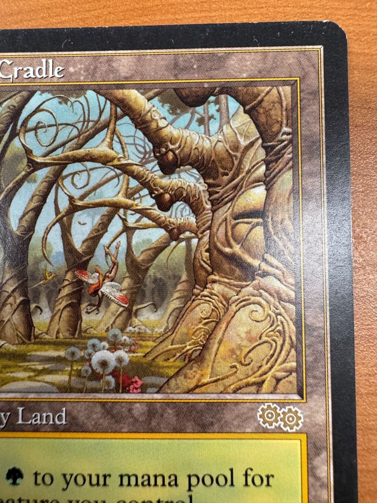 ガイアの揺籃の地 Gaea's Cradle USG 土地R EN版 英語版