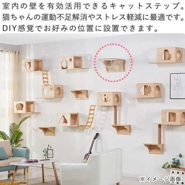 棚