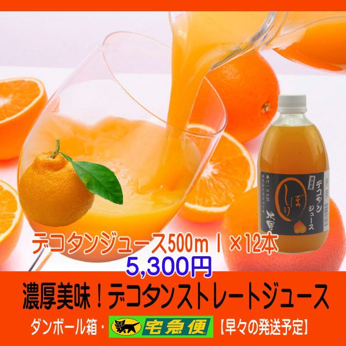 濃厚美味・濃縮還元してないデコタンジュース500ｍｌ×12本（デコポン