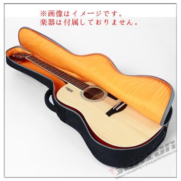 Birth アコースティックギター D-47ソフトケース付 ギター