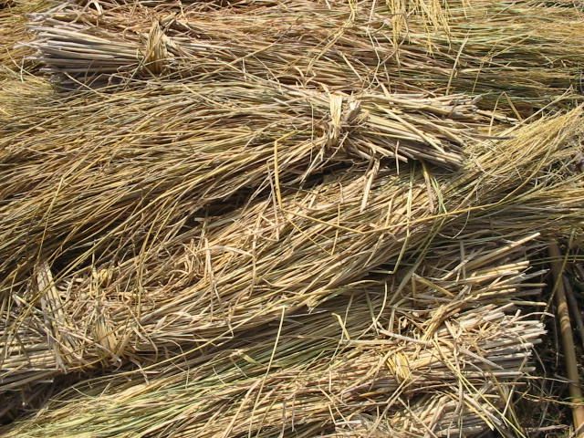 稲藁 稲藁売ります