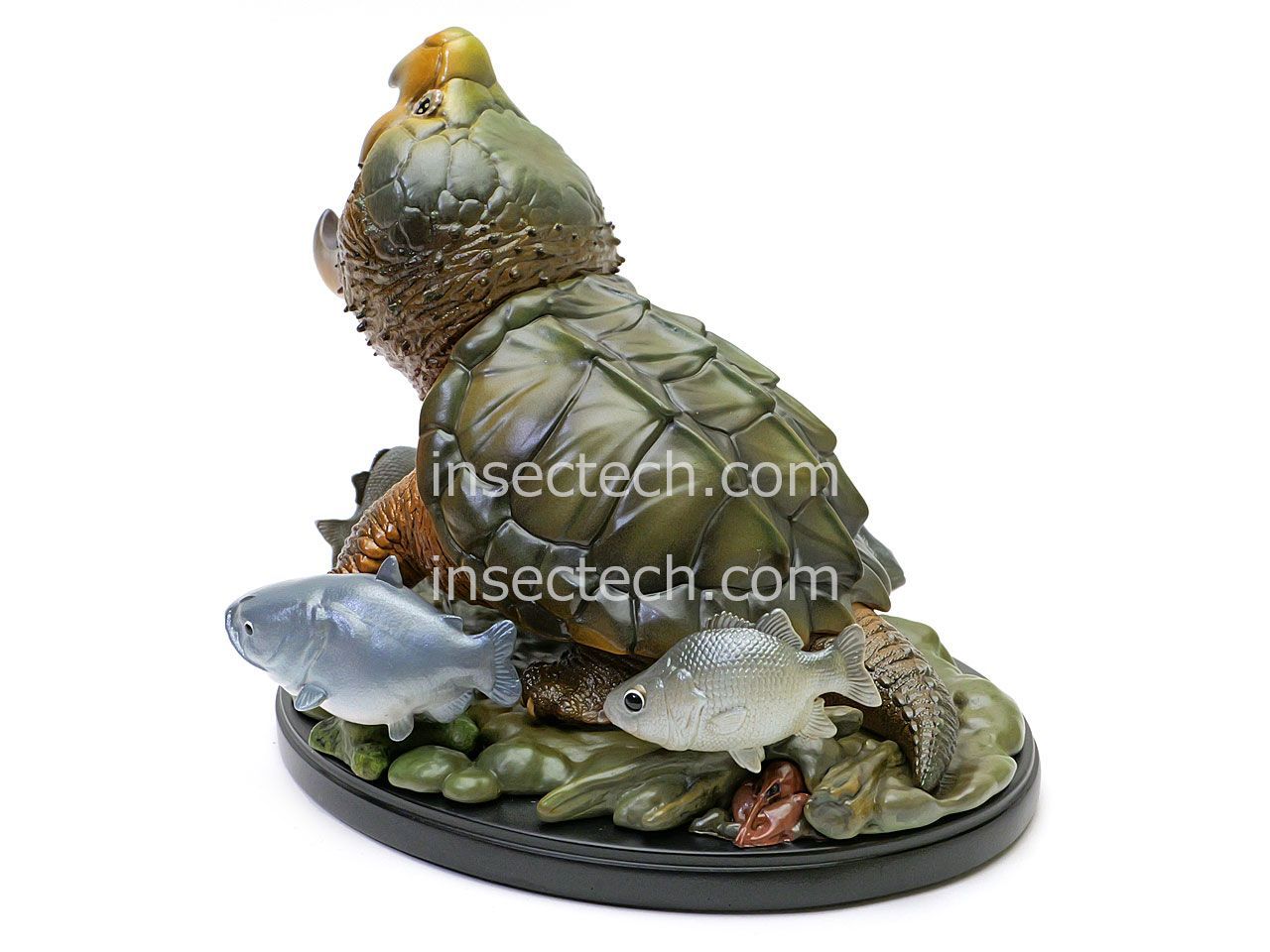 動物の惑星　ジオラマシリーズ　ワニガメ ナマズ付き限定版 動物の惑星 ジオラマシリーズ ワニガメ ナマズ付き限定版 Amazon