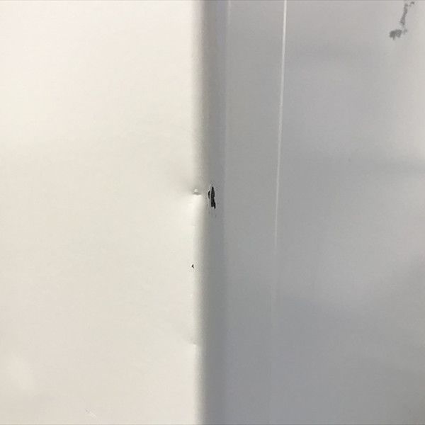 プラス フラットライン