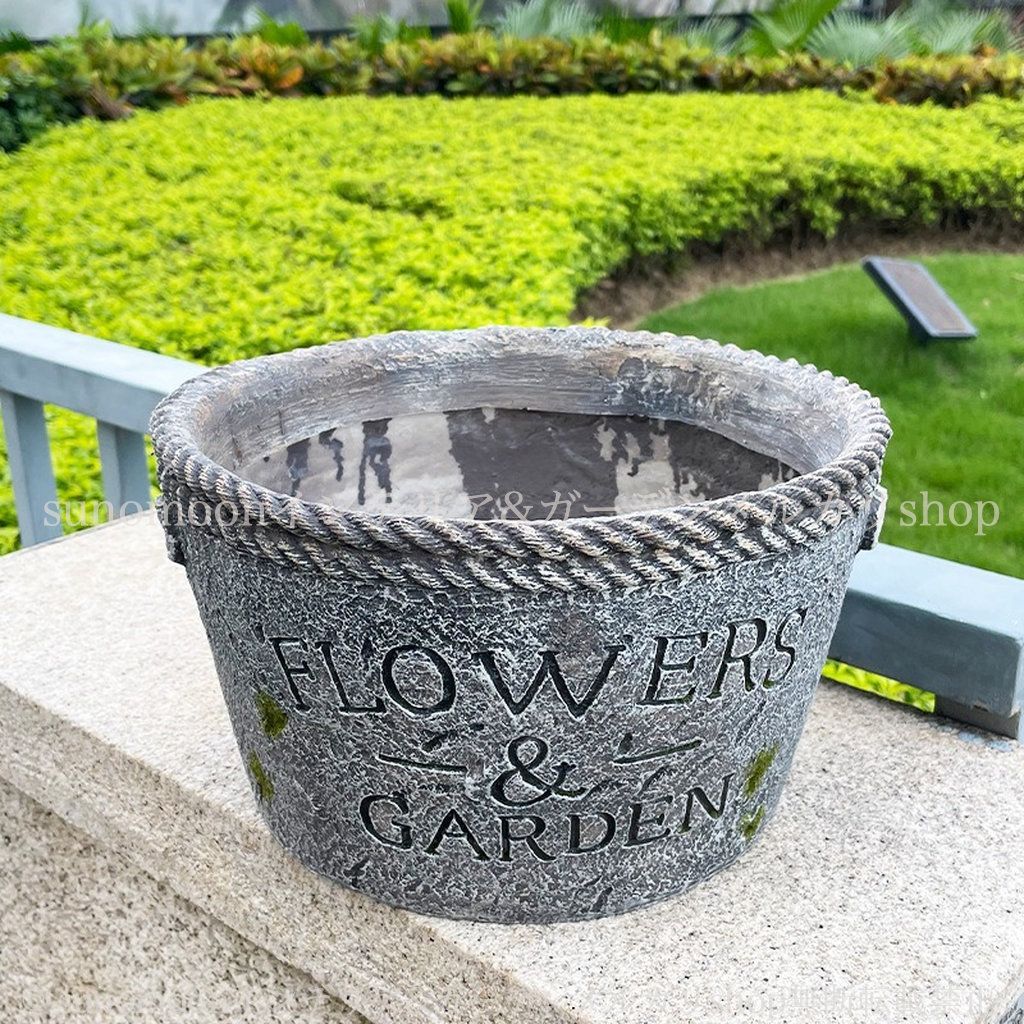 富貴蘭　錦鉢　青海波　梅花作 富貴蘭 錦鉢 青海波 梅花作 錦鉢（16）愛楽園、梅花作5