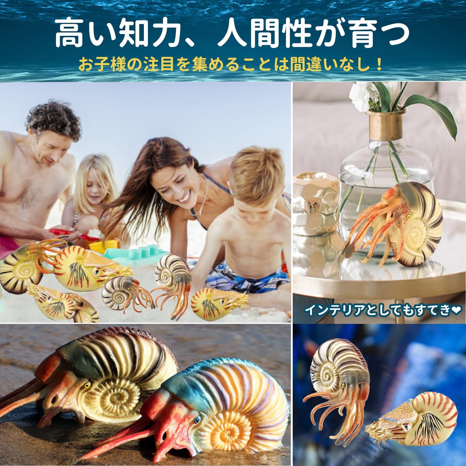 UTST オウムガイ フィギュア アンモナイト オウムガイ 貝殻