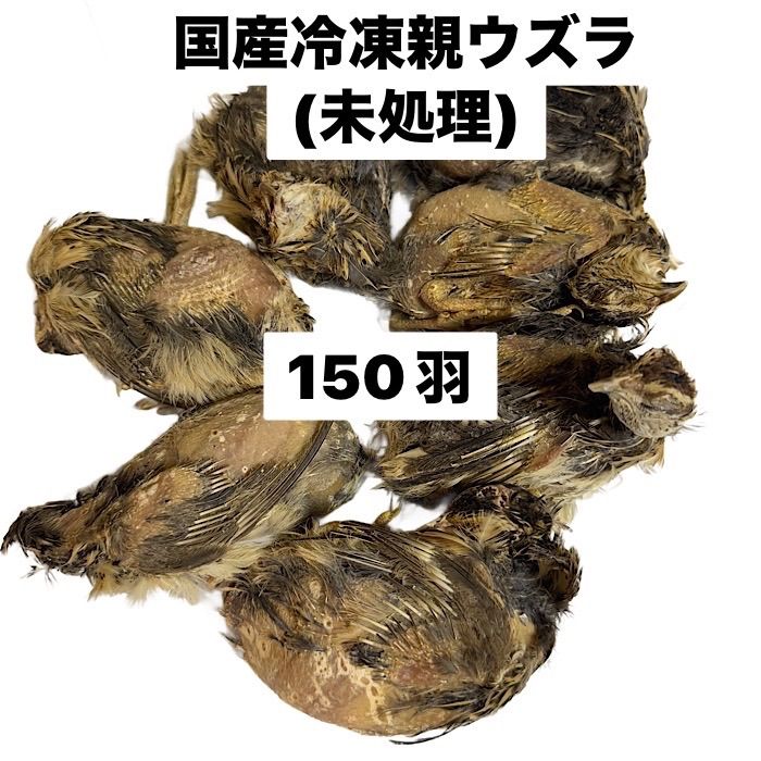 クール便発送】 国産の冷凍親ウズラ 処理済 100羽 送料無料 訳あり