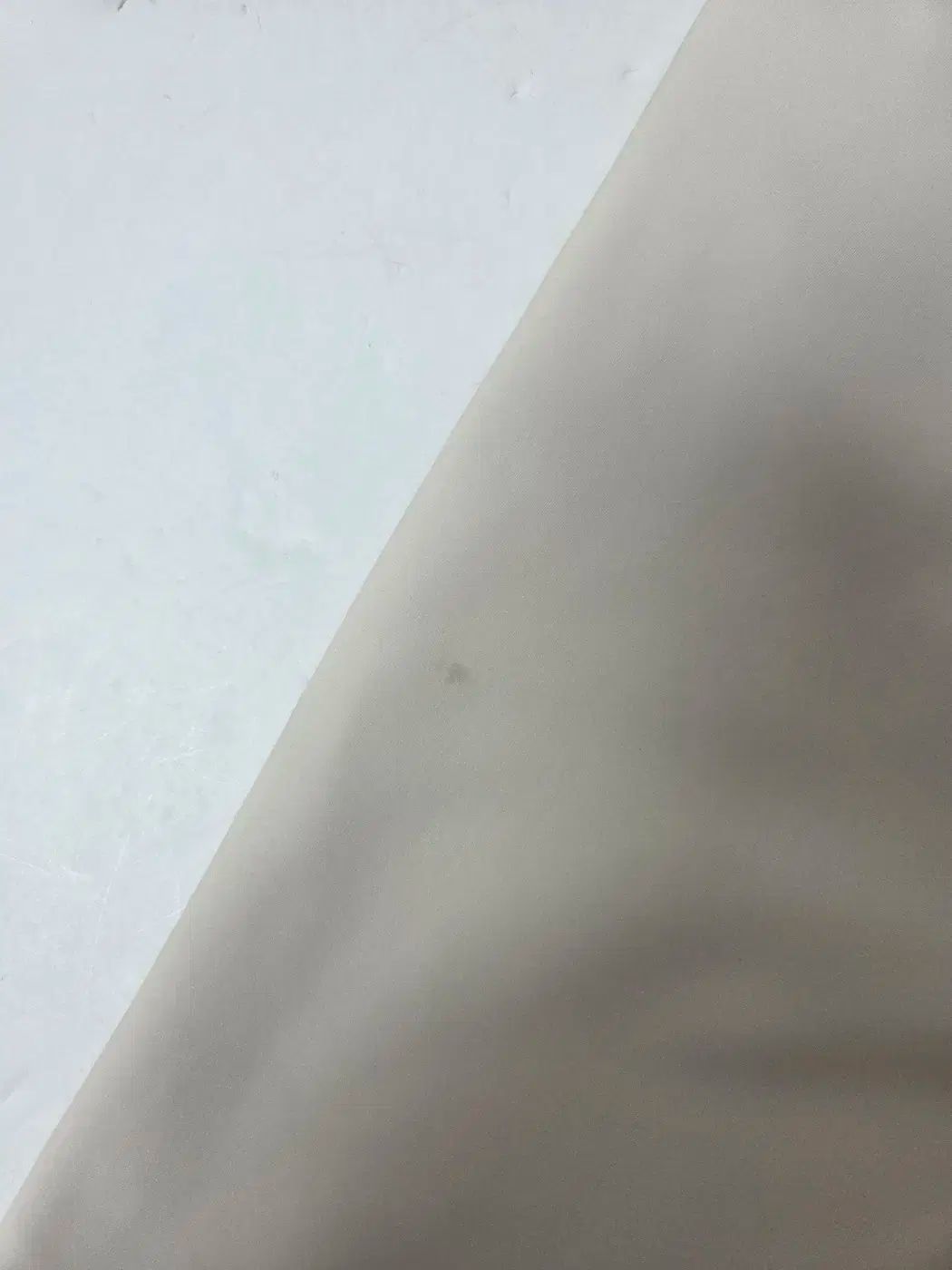 WACC レディース