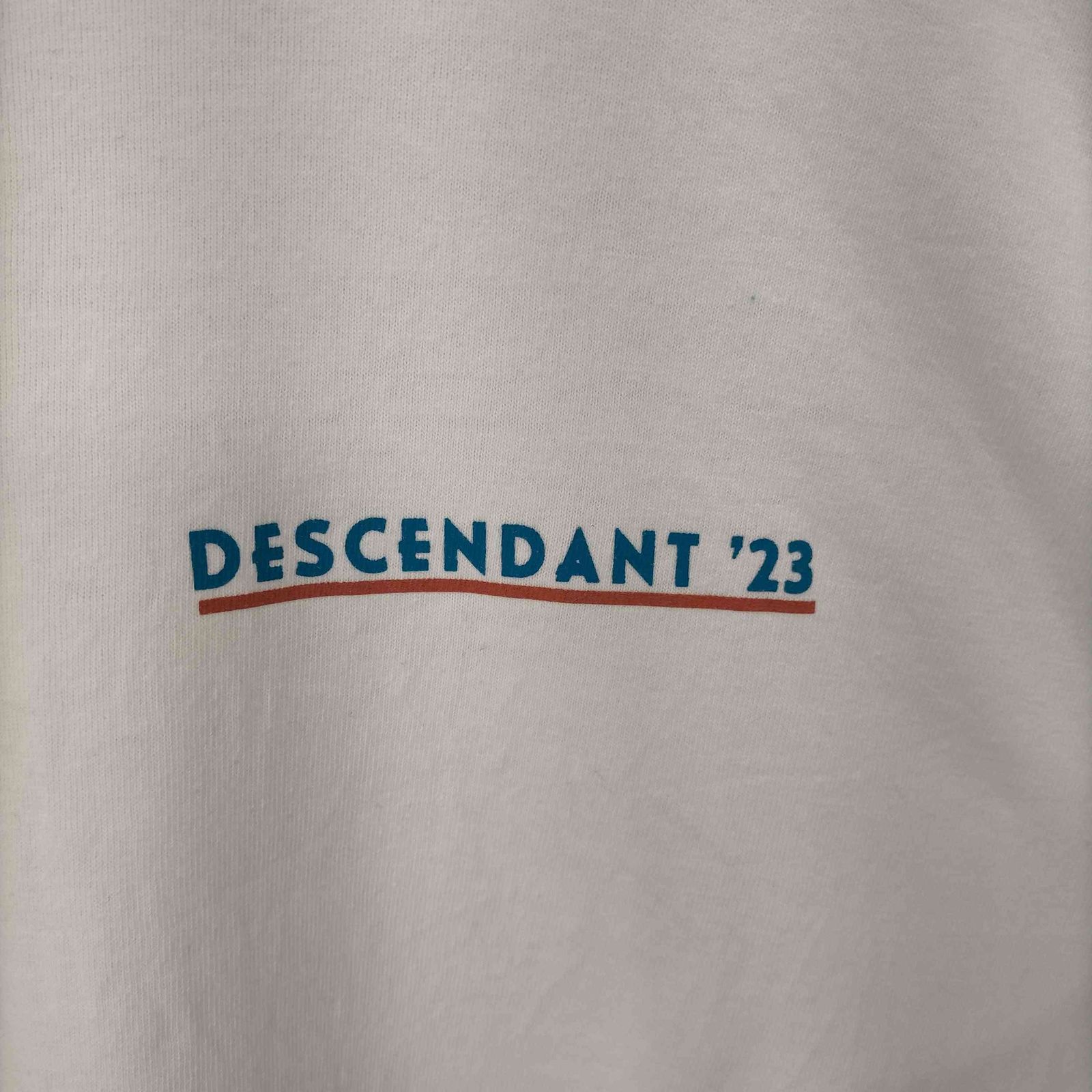 ディセンダント DESCENDANT SCENERY LS ロングスリーブTシャツ ロンT 