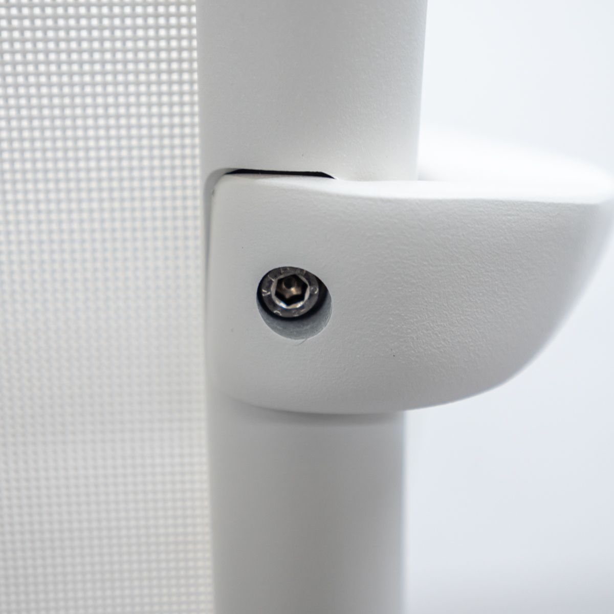 ホワイト アルベルト