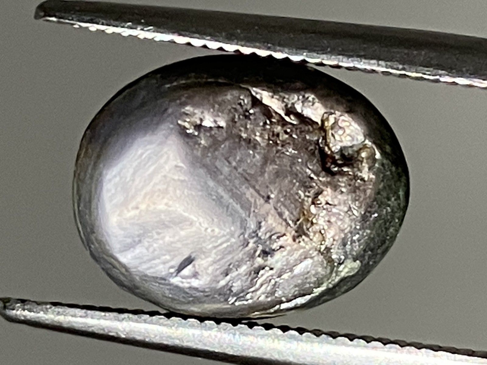 スターサファイア 天然 8.880ct 宝石ソーティング付き 11.9