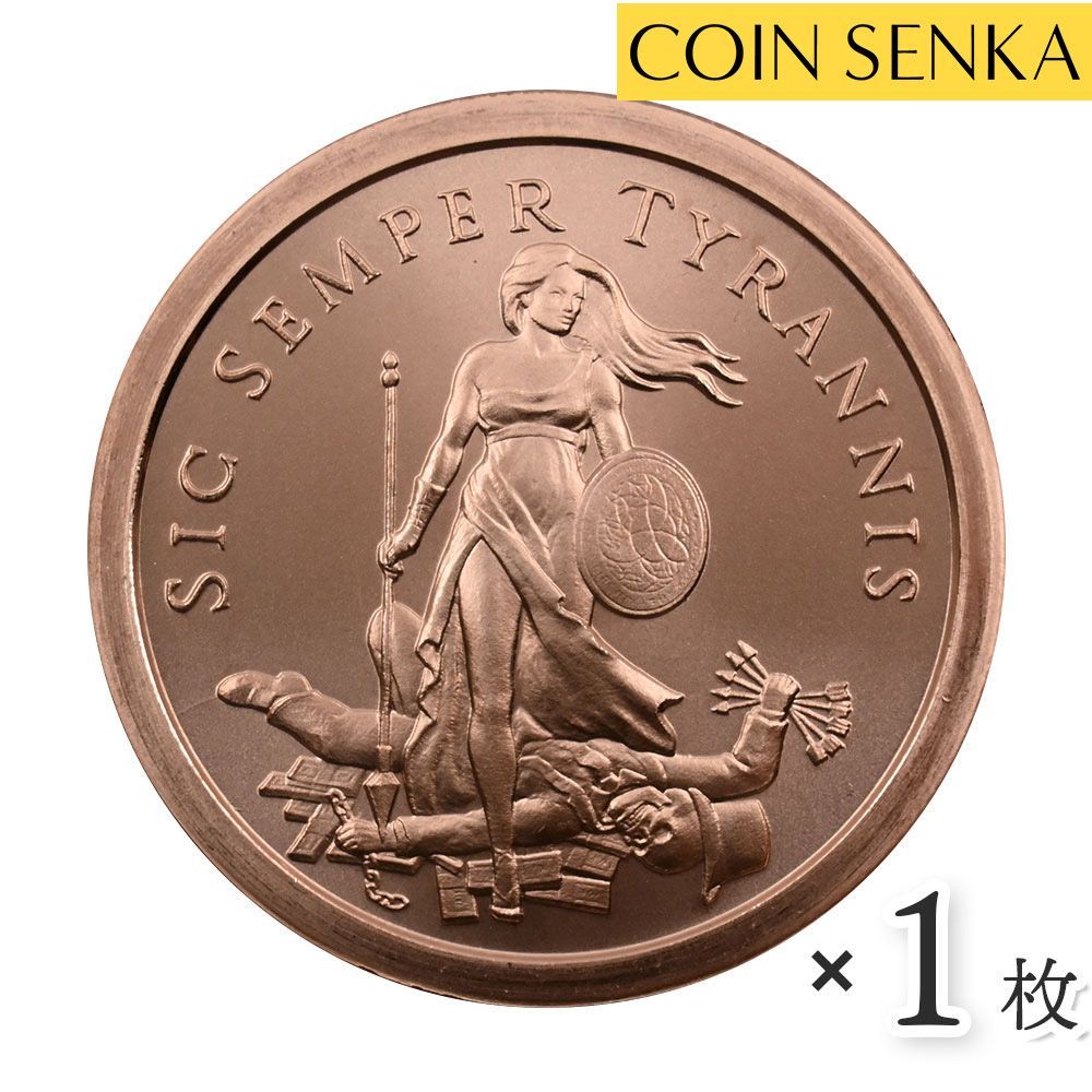 アメリカ 2023 シック・センペル・ティランニス 1オンス 銅 メダル 【1枚】 (コインケース付き) m3878 - メルカリ