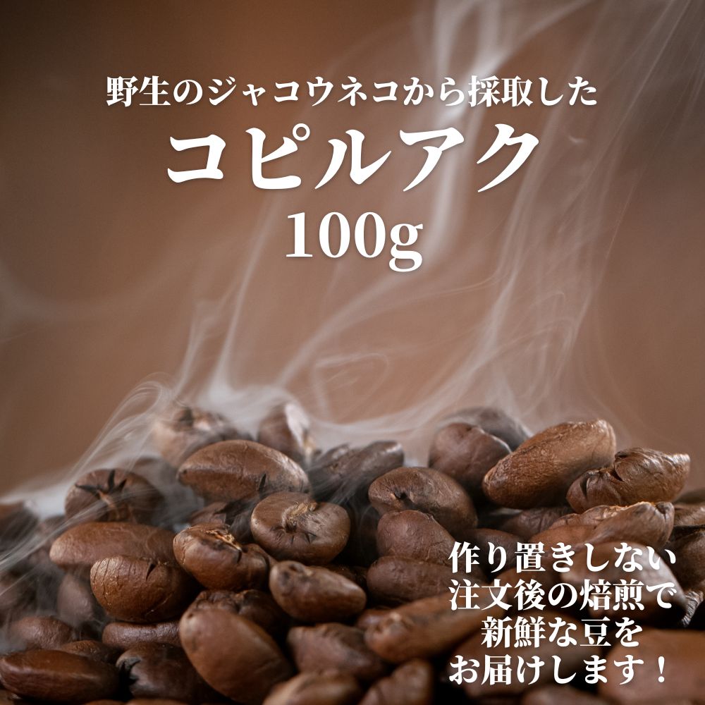 ジャコウネココーヒー コピルアク コピルアック 100g ルアック ジャコウネココーヒー コピルアク コピルアック 100g ルアック