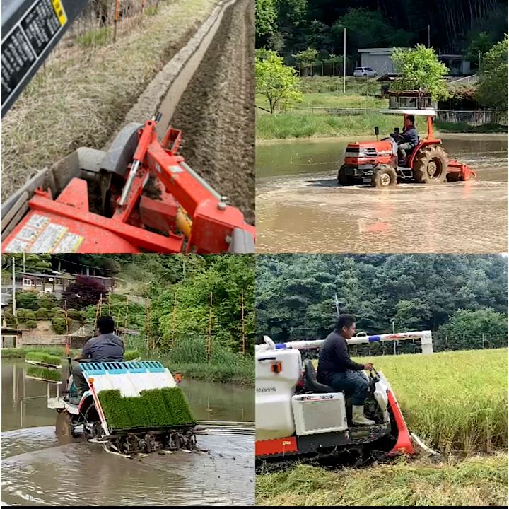 自然栽培米 山口県美祢産ミルキークイーン20キロ 精米 里山直送 - メルカリ