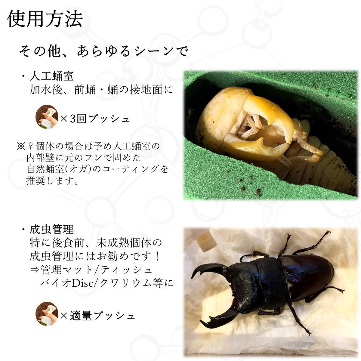 6本セット dda