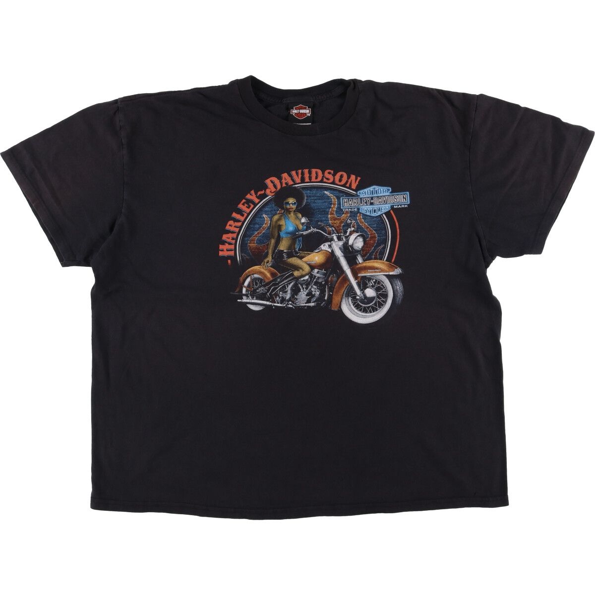 古着 ハーレーダビッドソン Harley-Davidson ピンナップガール