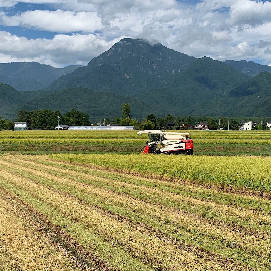 令和6年産新米【コシヒカリ玄米2kg】安曇野産自家製