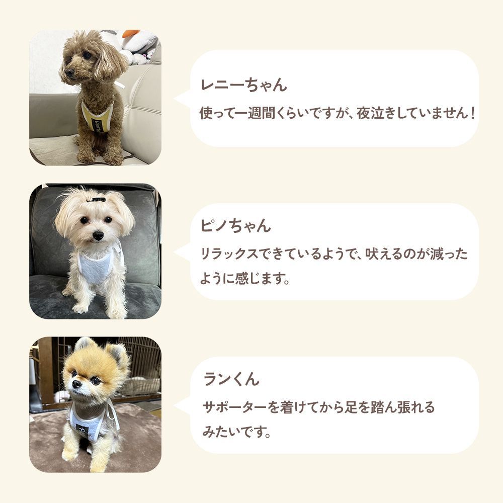 エプロンタイプ