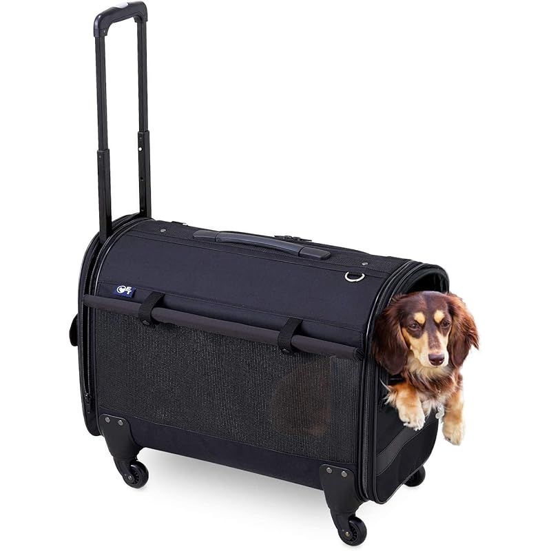 OFT キャリーバッグ NEW L 適応体重12kg オーエフティー 手持ち ショルダー ハンドル 飛び出し防止リード キャスター付き 脱着式 コロコロキャリー 犬 猫 お出かけ 旅行 帰省 アウトドア サイズ 約 外寸 幅31×奥61.5×高50cm