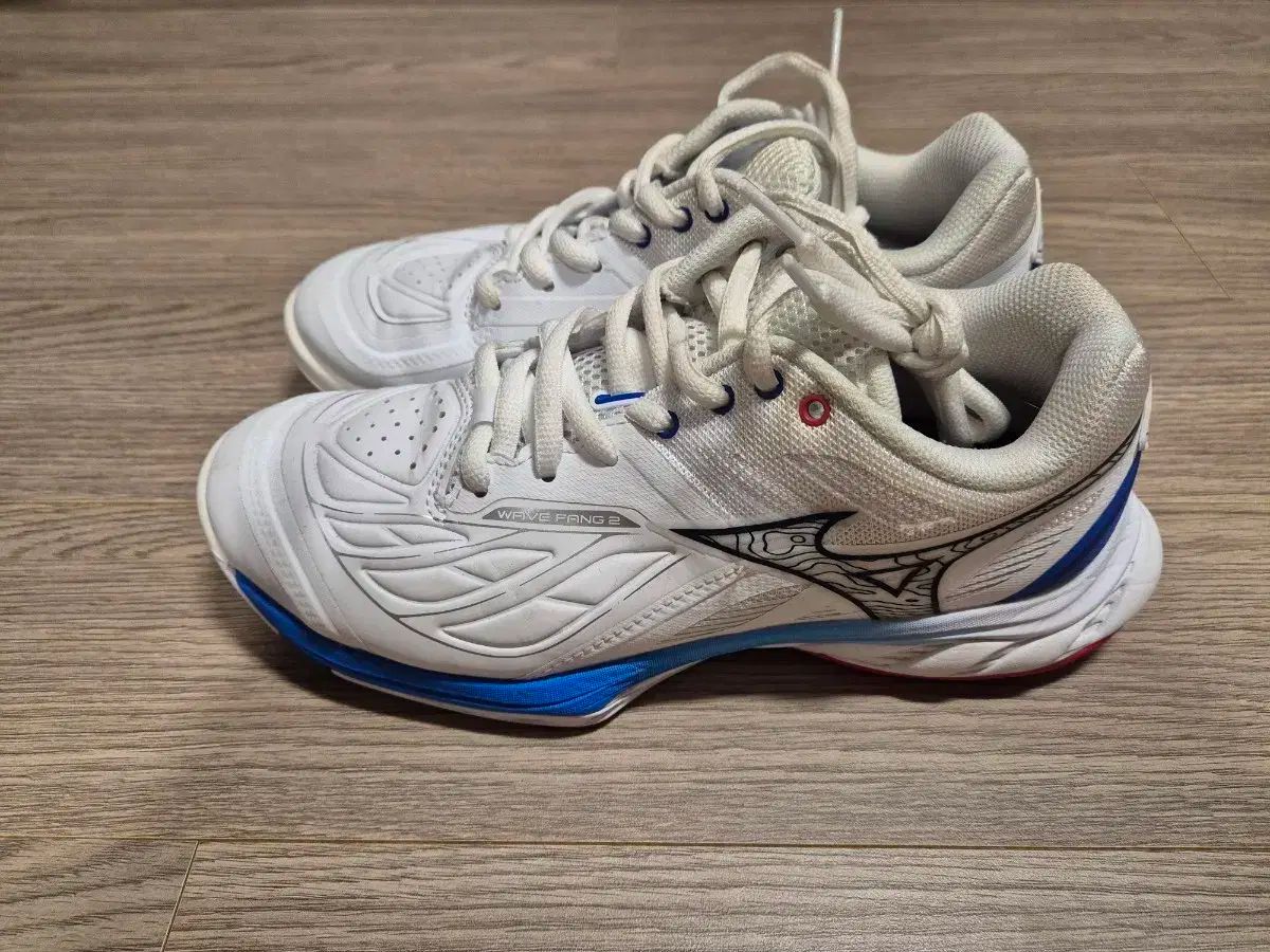 Mizuno ミズノ 波 パン 2 白 バドミントンシューズ