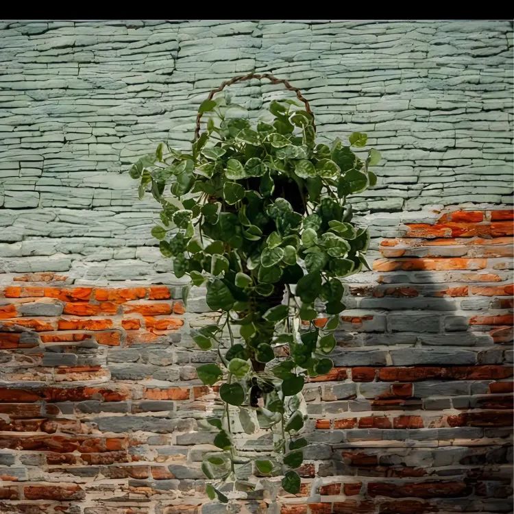 光触媒 人工観葉植物 ウォールグリーン フェイクグリーン 壁掛けプミラ