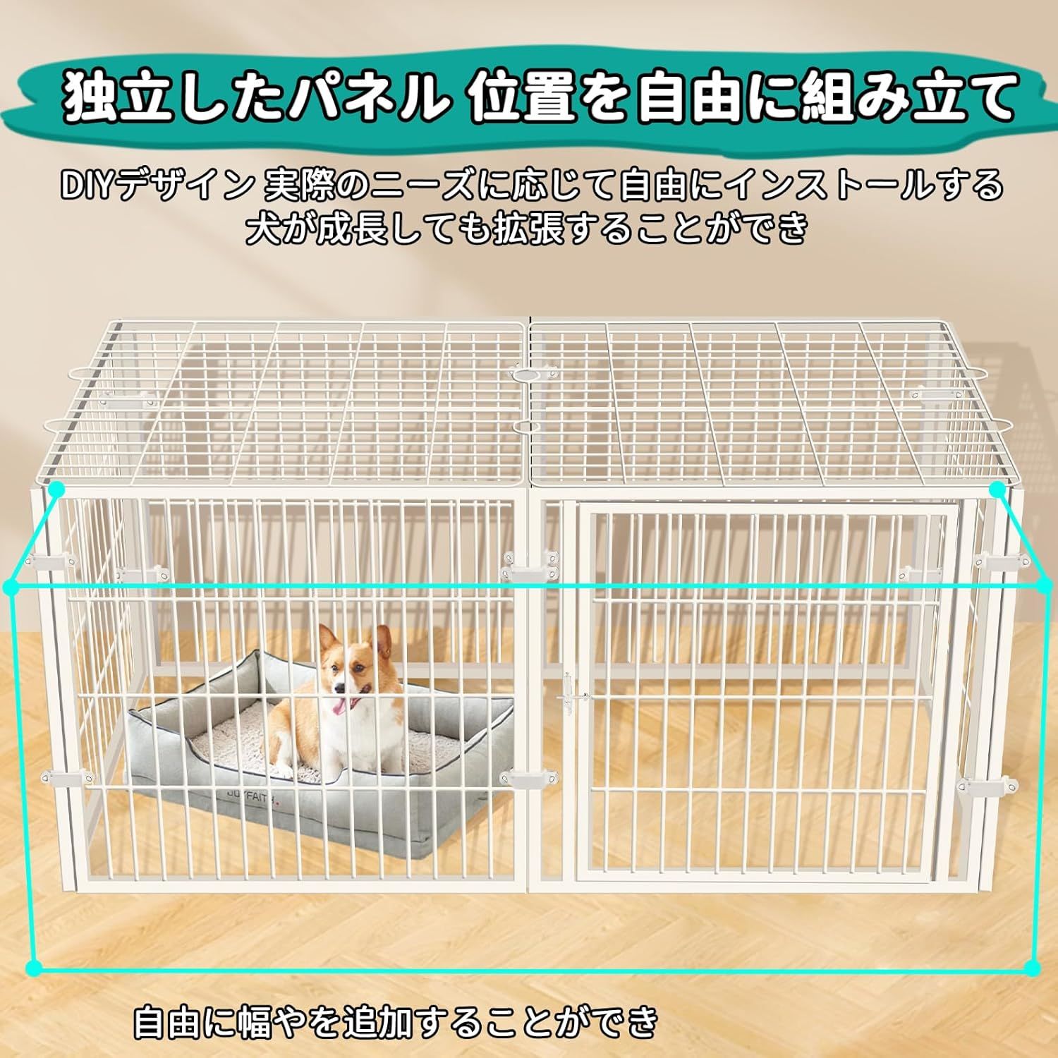 小型犬 中型犬