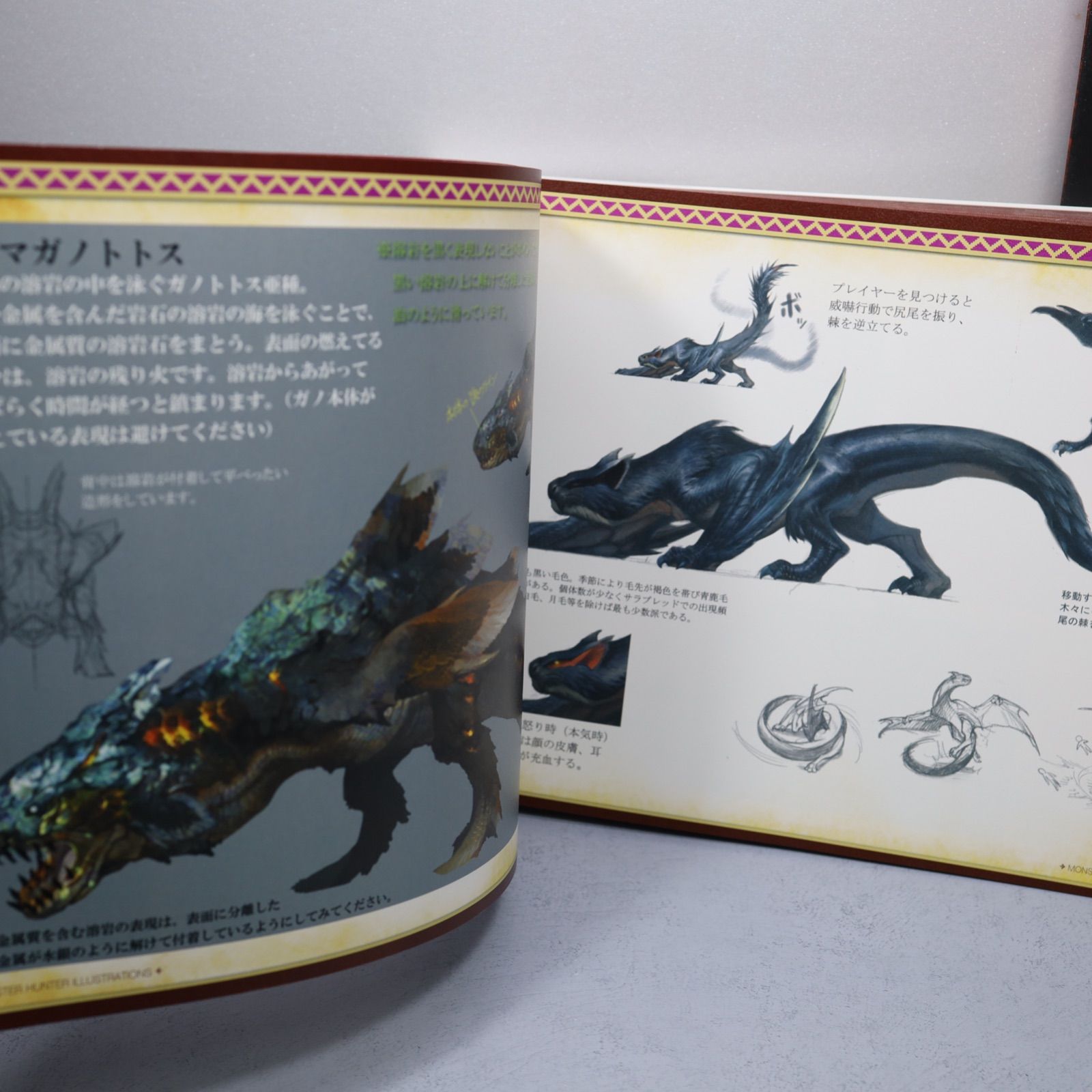 モンスターハンター イラストレーションズ III 91thGjn8r2L._UF350,350_QL50_.jpg
