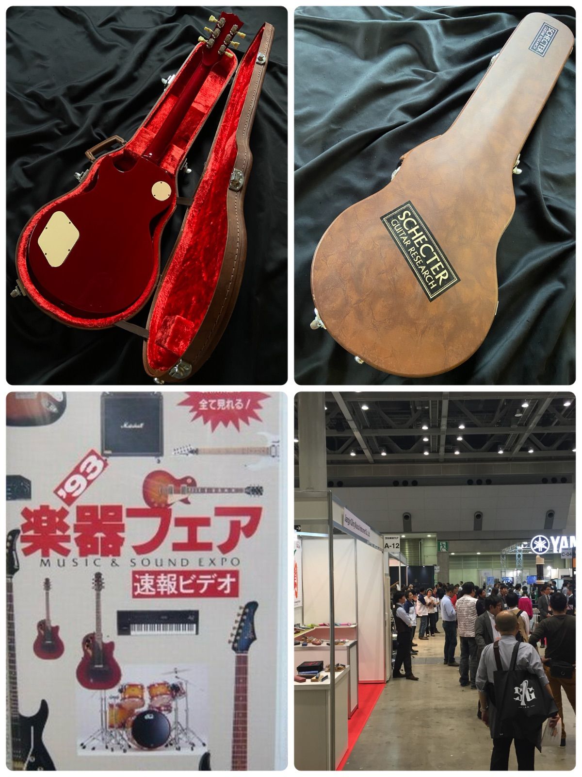 シェクター タイガーフレイム