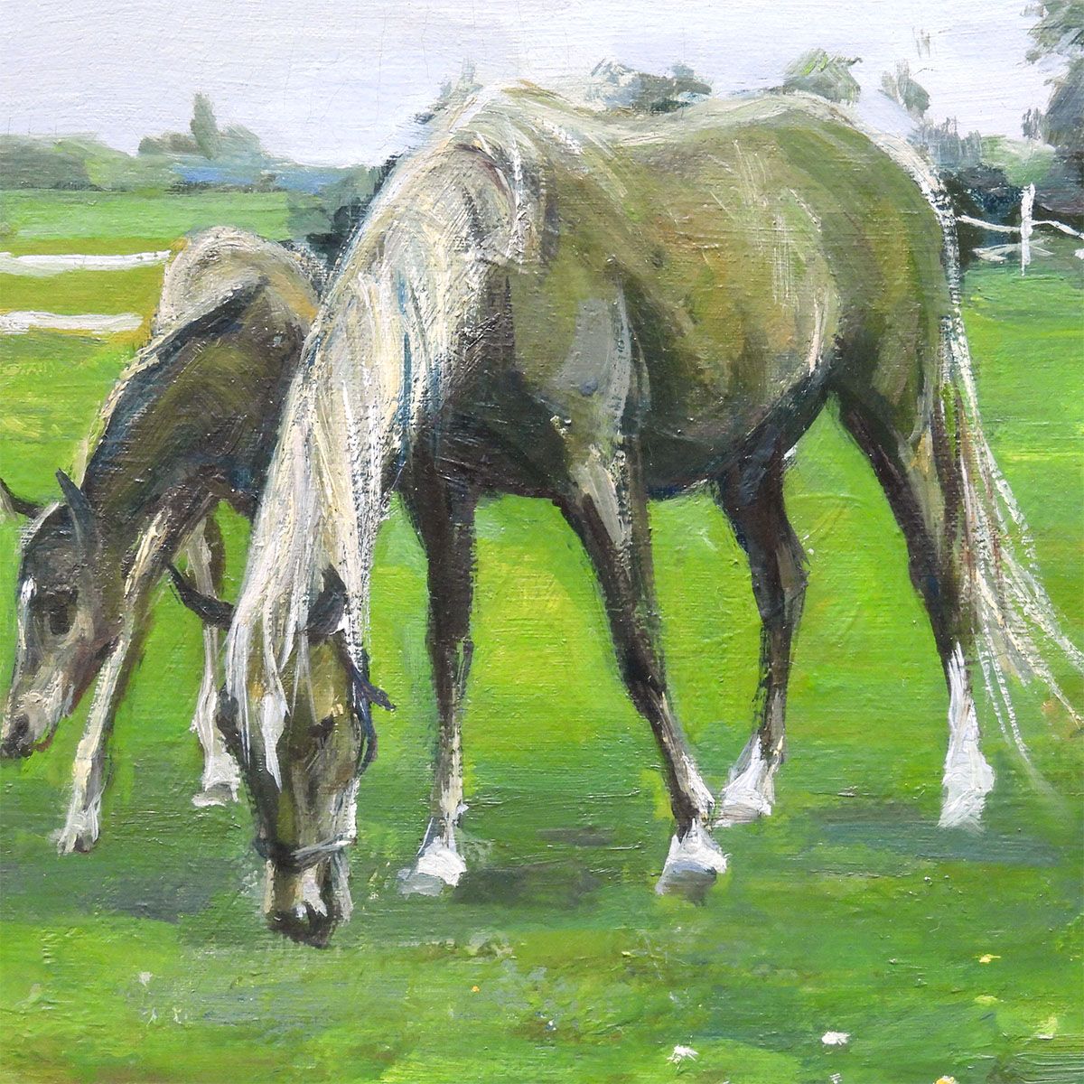 最終値下げ 中畑艸人 馬 さつき 油彩3号 動物画 梅田画廊 原画 油絵