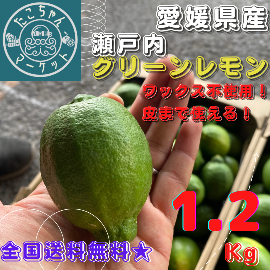国産グリーンレモン 1.1kg 通販