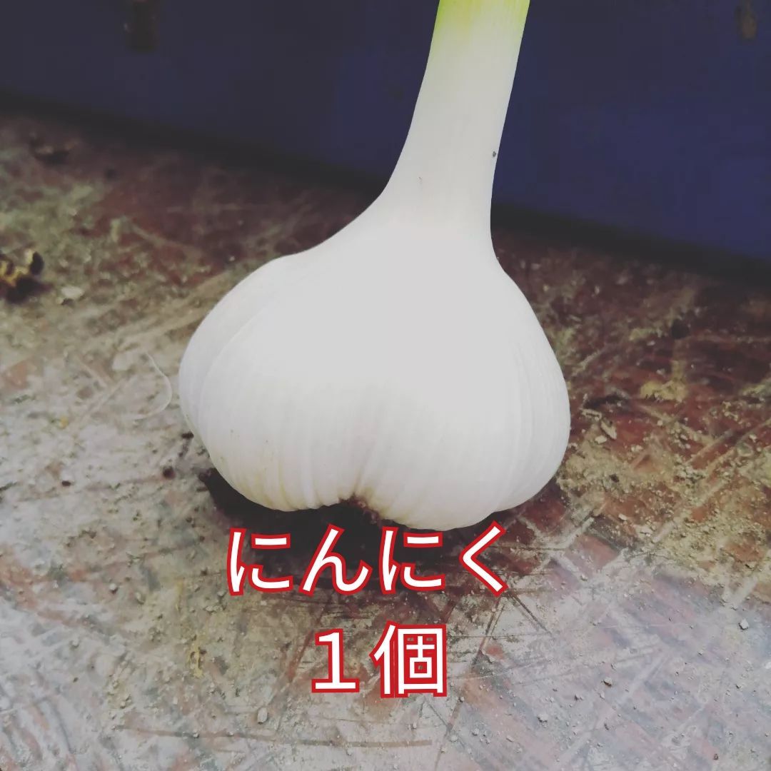 ジャンボニンニク 生ニンニク ズッキーニ詰め合わせ野菜 農薬不使用