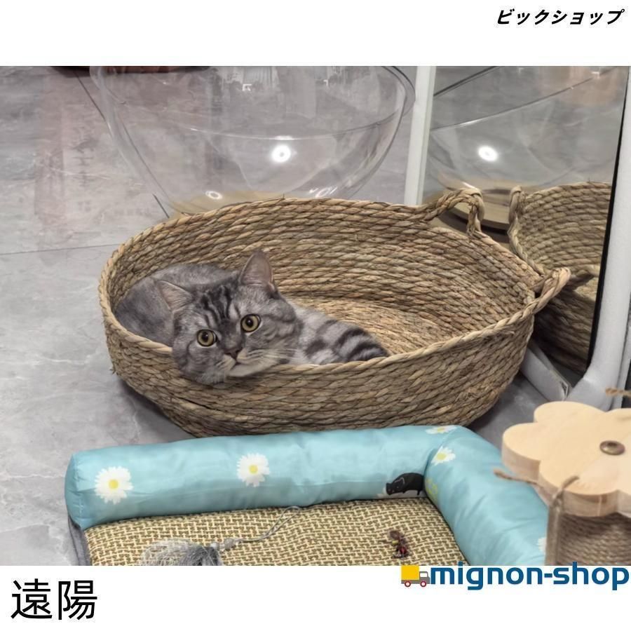 いいものみつけて‼️籐 ラタン ペットのおうち 猫 犬 お家 ペットベッド 猫ベッド 犬ベッド ラタン かご 藤編み 柳枝編み