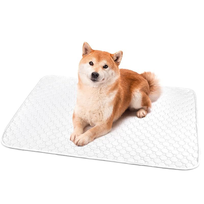 ペットシーツ 洗える 猫 犬用 おしっこパッド ペット用 トイレ下敷きマット ポリエステル 速乾 洗える 大判サイズ 多頭飼いに最適 ホワイト L ２枚セット