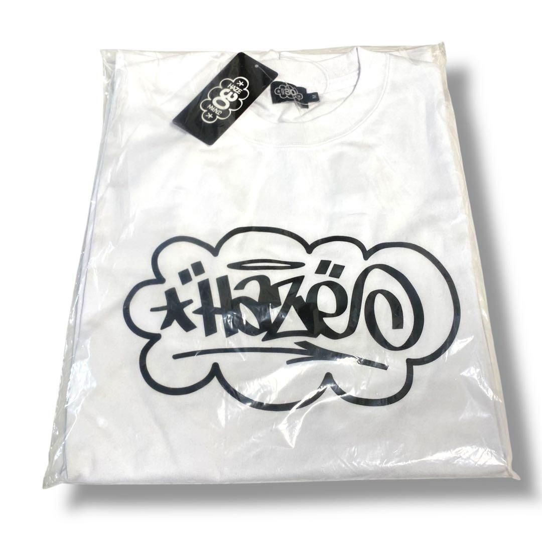 calif art gallery HAZE ORIGINAL LOGO S/S TEE calif-ART ERIC HAZE