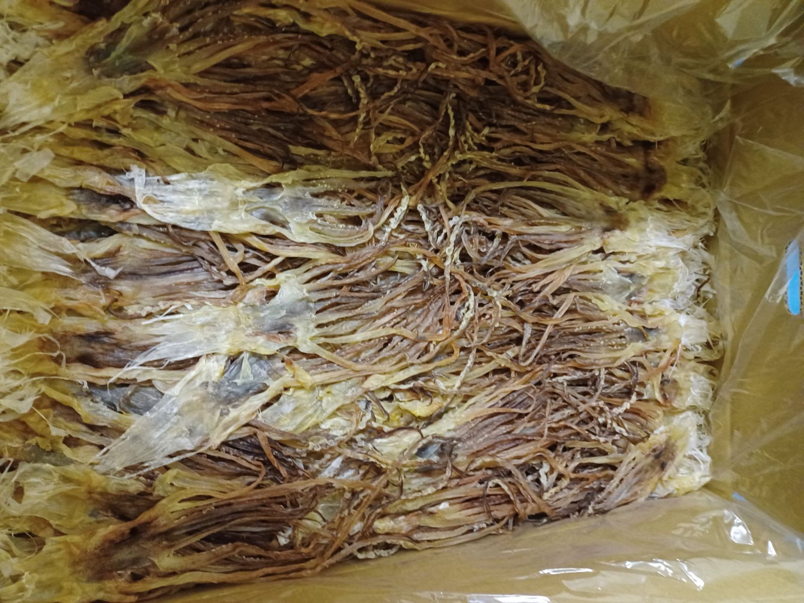 大好評珍味 前浜するめS足【4kg 】