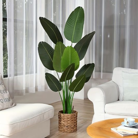 観葉植物
