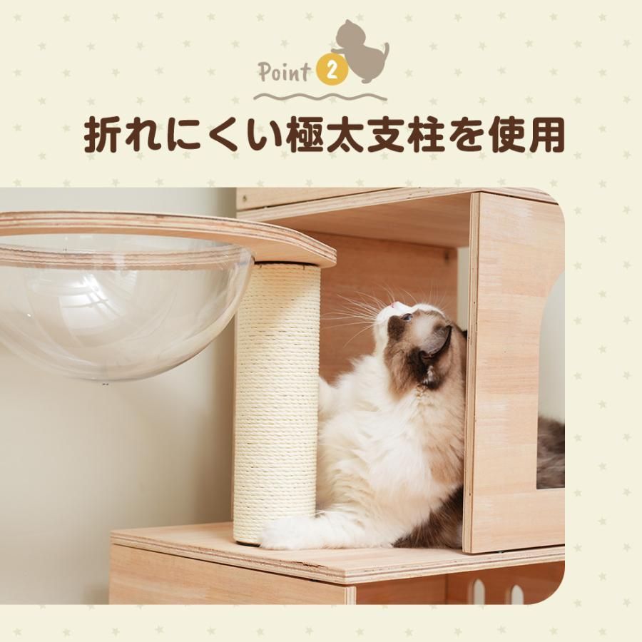 季節問わず 安定感抜群