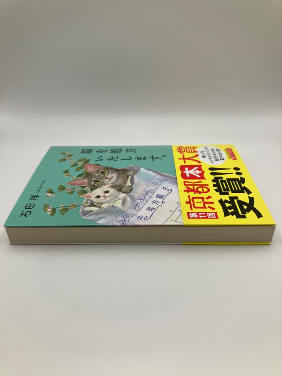 【新品】猫を処方いたします。