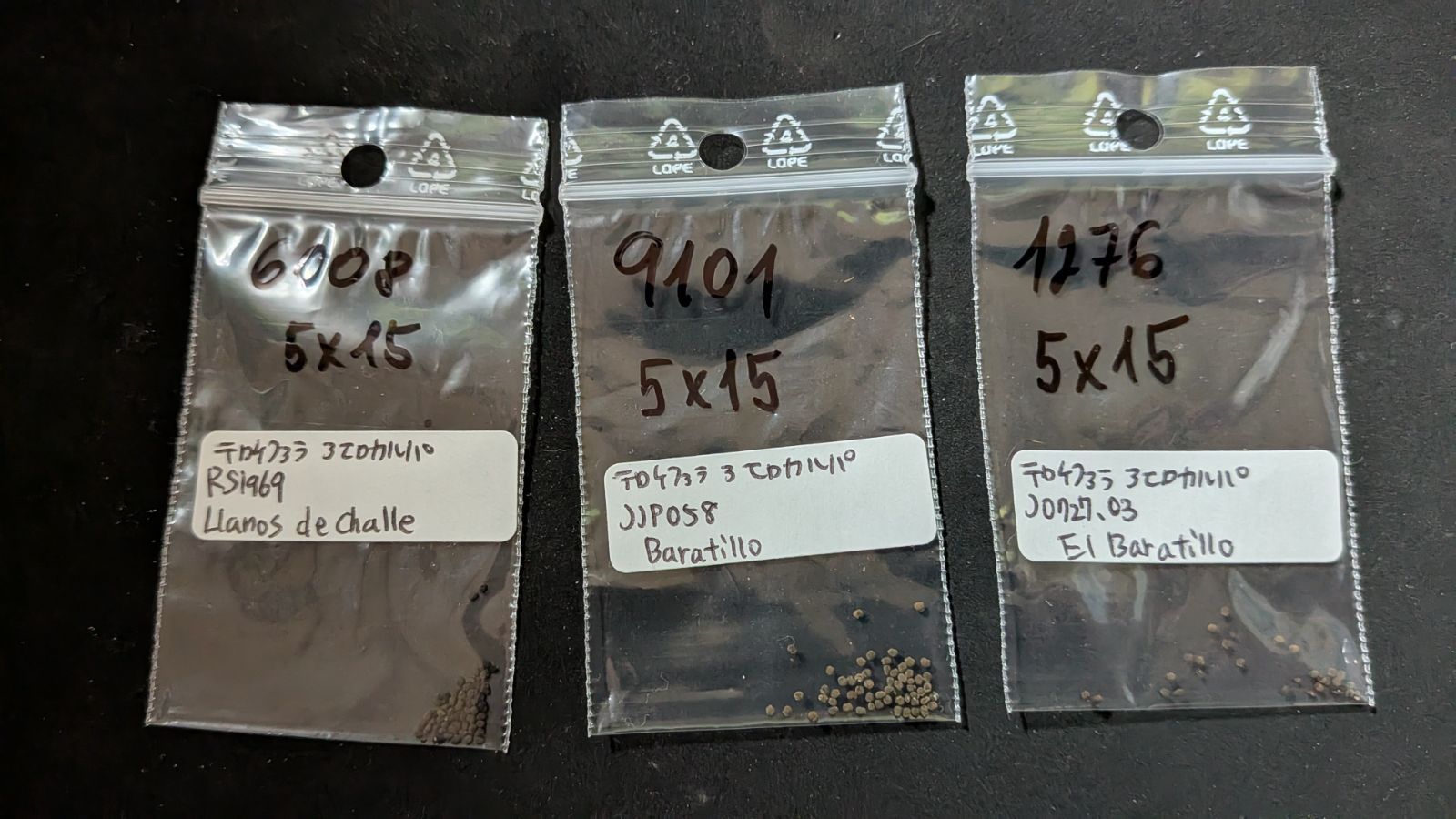 テロケファラ 産地や種類別 50種類セット 各15粒ずつ YUZUMIYA_COM