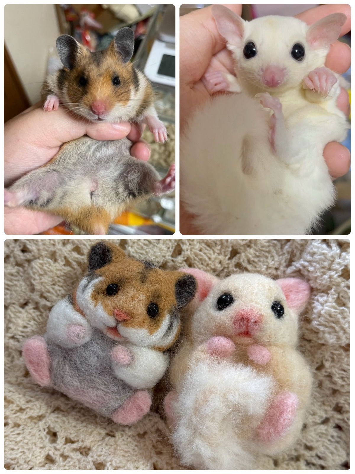 オーダー可》まんまるあにまるず うちの子オーダー 羊毛フェルト