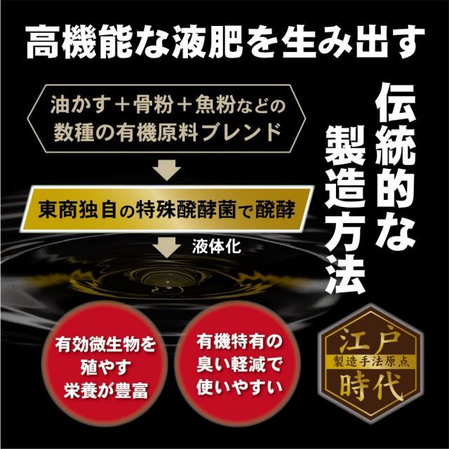 ワン