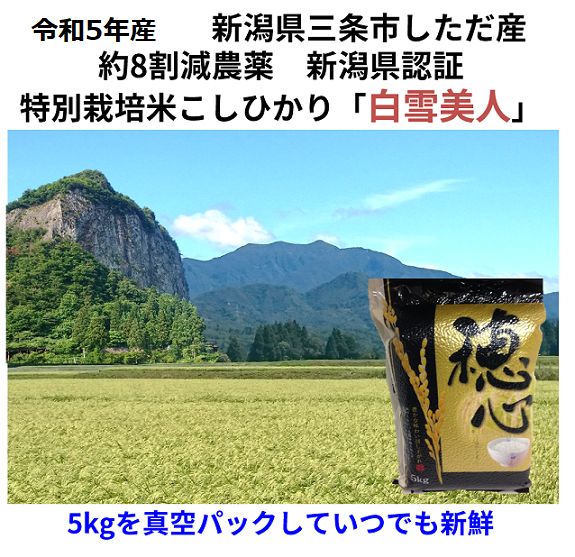 新米令和4年産 コシヒカリ玄米30kg 新潟県三条市旧下田村産 1等米 減農薬 新潟県認証 特別栽培米コシヒカリ100% - 食品