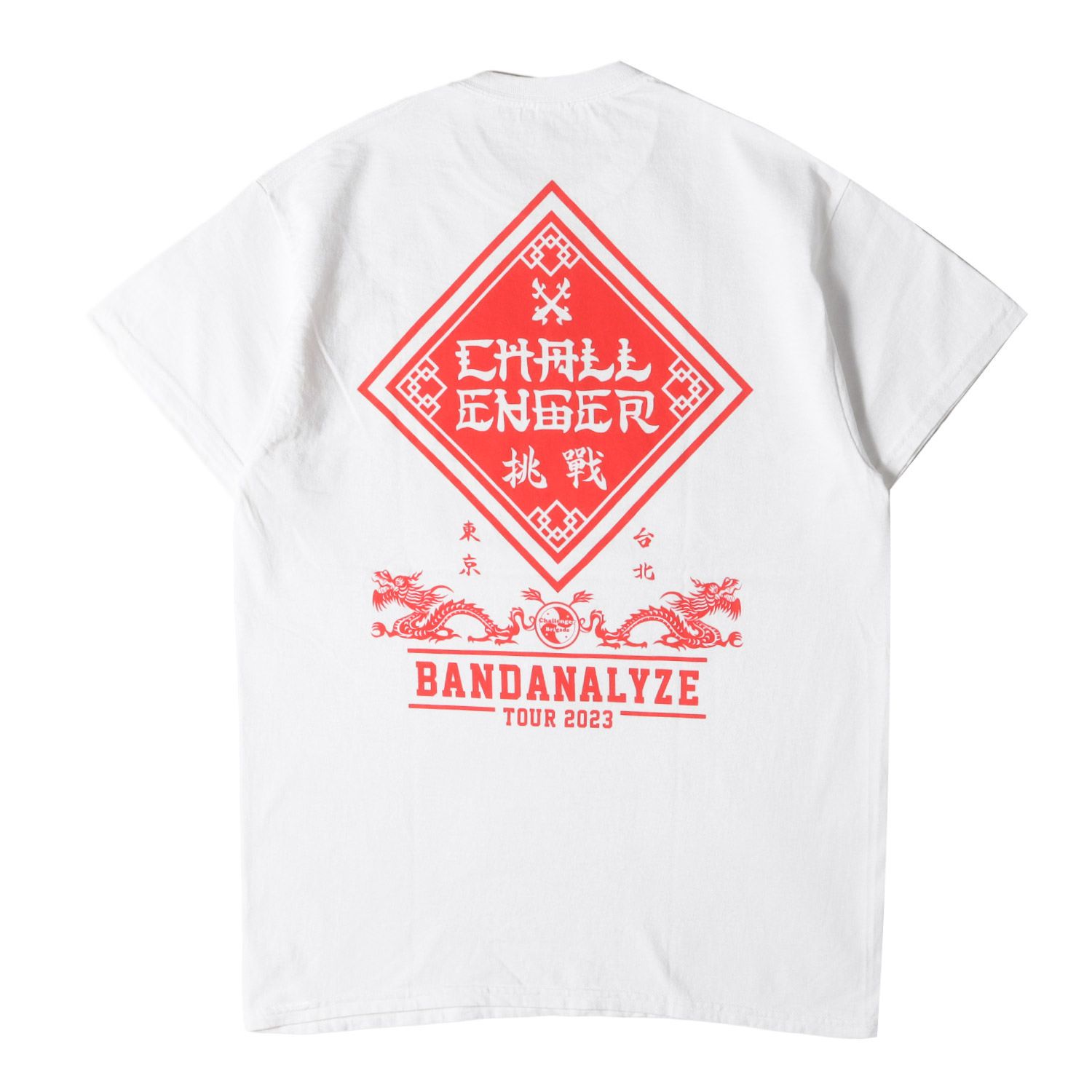 CHALLENGER チャレンジャー Tシャツ サイズ:M / 23SS
