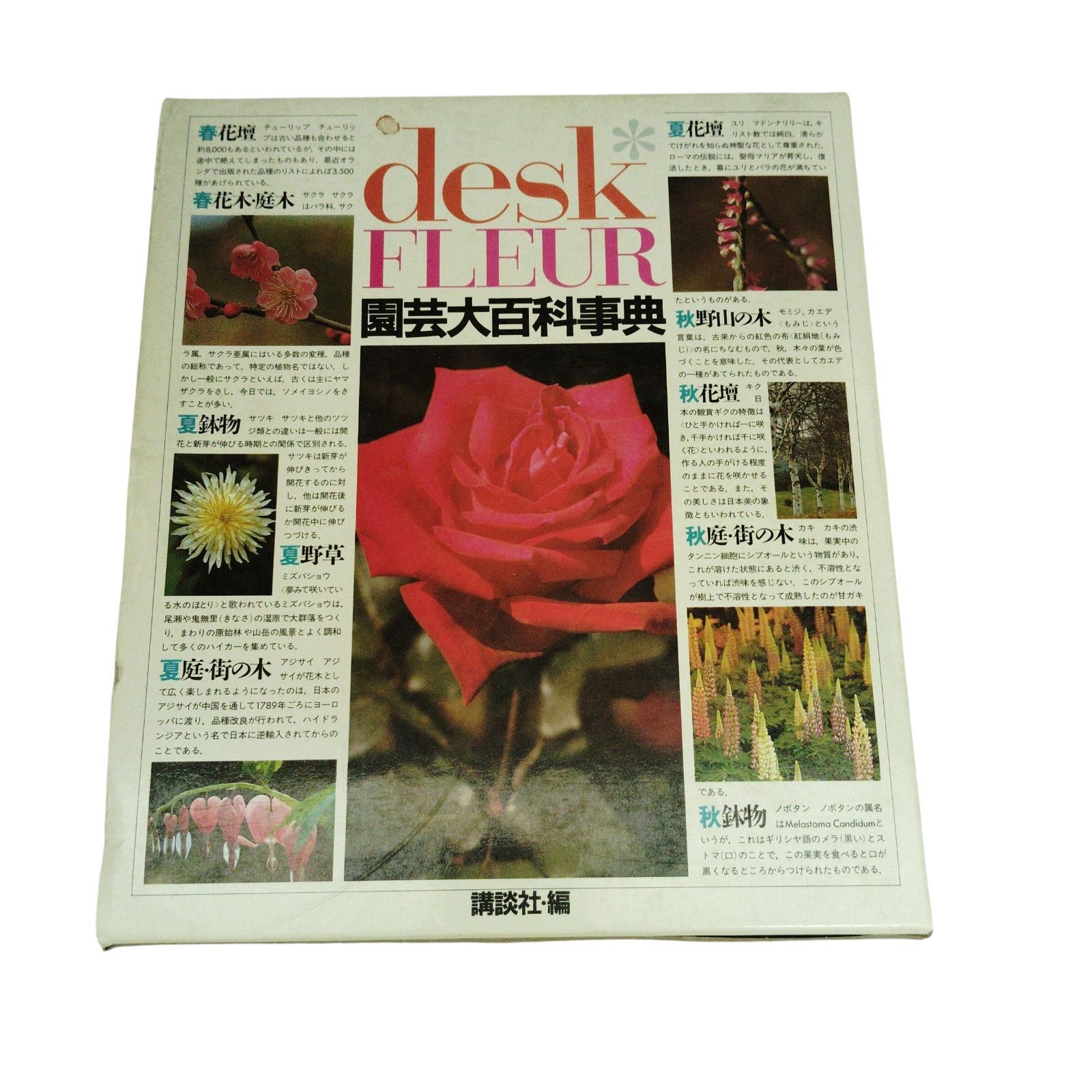 X09093 園芸百科事典 講談社 desk FLEUR ISBN4-06-202313-X C2576 園芸