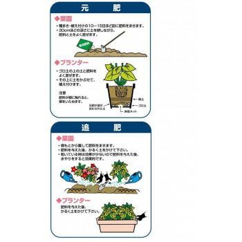 玉ねぎ 肥料
