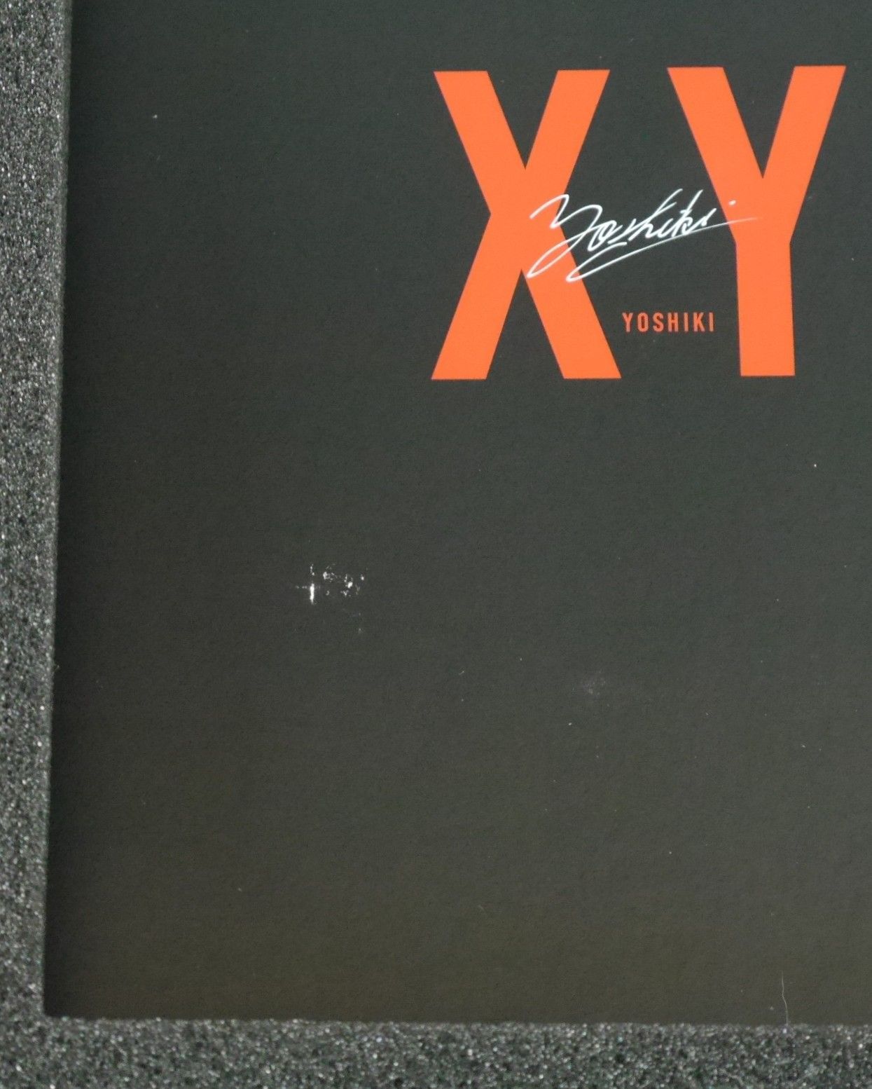 初版 YOSHIKI Making DVD & Premium Photo Book: XY - メルカリ