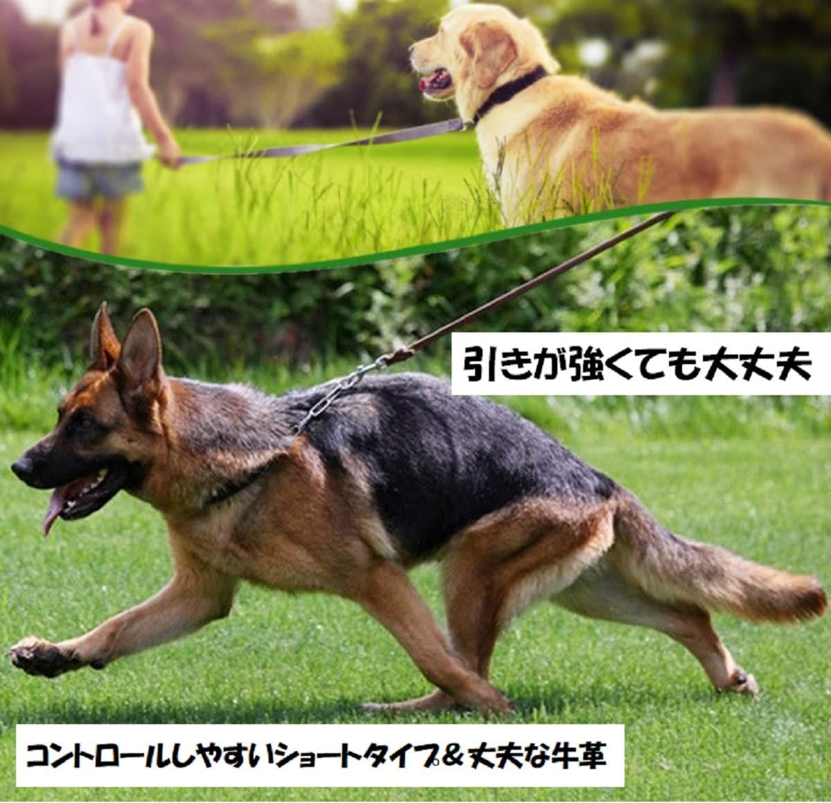 犬リード 本革 ブラウン 牛革 幅1.2cm 長さ1m超 ショートタイプ 中型犬 大型犬 適合 シルバーフック