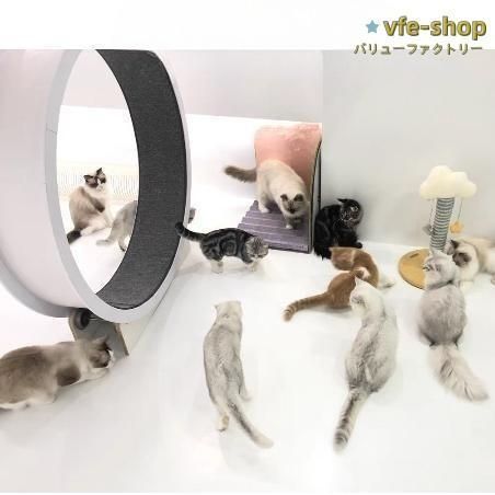 猫のエクササイズホイール